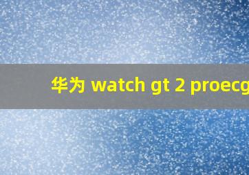 华为 watch gt 2 proecg